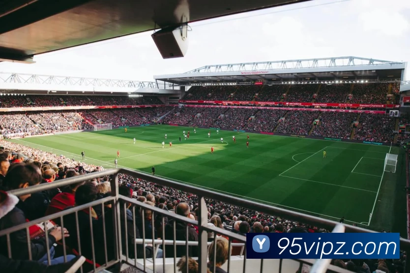 九五至尊官网APP 封面图