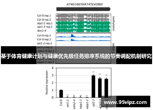 基于体育健康计划与健康优先级任务排序系统的节奏调配机制研究